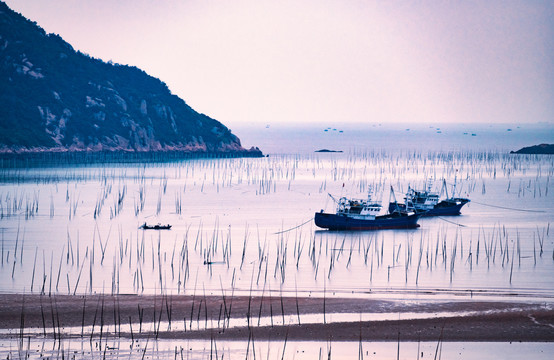 福建霞浦滩涂凌晨风光