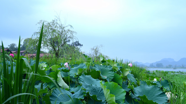 云南普者黑风景区