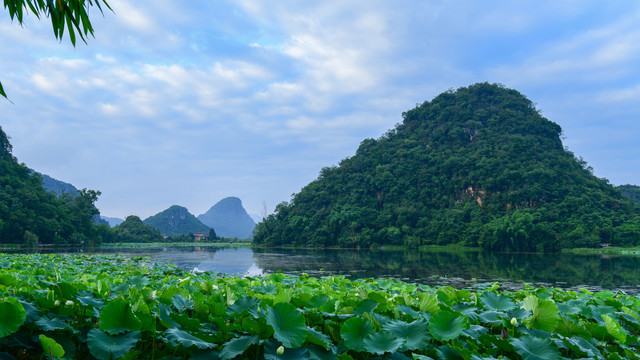 普者黑风景区