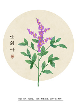 牡荊葉