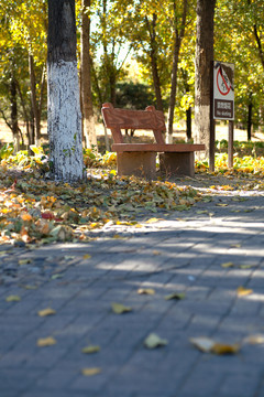 树林里满地的树叶和凳子