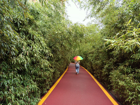 竹林健身步道