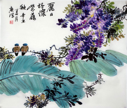紫藤芭蕉葉