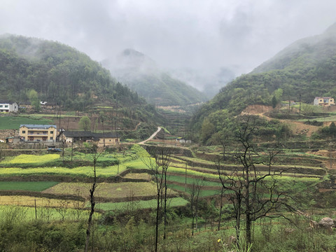 美丽乡村田园风光旅游