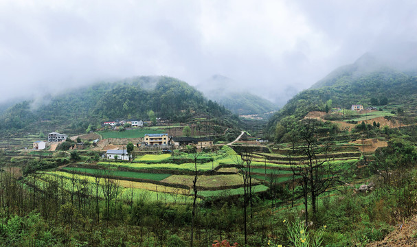 美丽乡村田园风光旅游