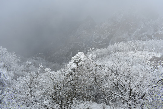 武当山