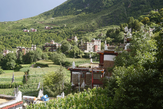 丹巴甲居藏寨山村庄稼地