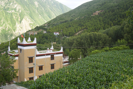 丹巴甲居藏寨山村民居庄稼地