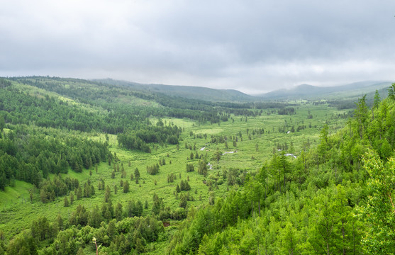 中国内蒙呼伦贝尔草原风景