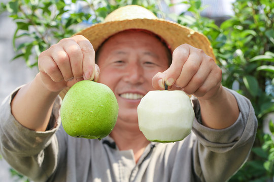 手里拿着削皮的皇冠苹果梨