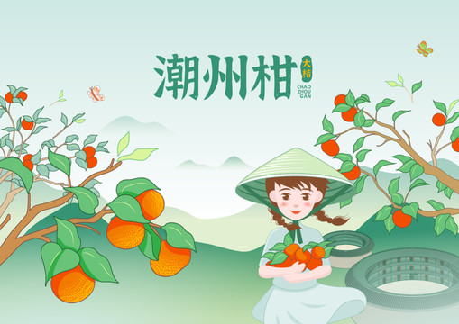 潮州柑包裝封面插畫(huà)