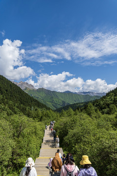 四川黄龙风景区夏天风光