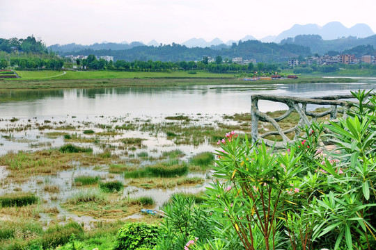 荔波樟江湿地