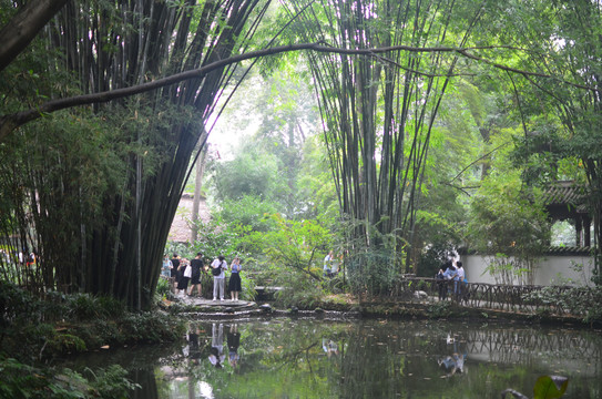 河边竹林