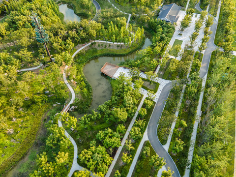 航拍城市公园园林风景