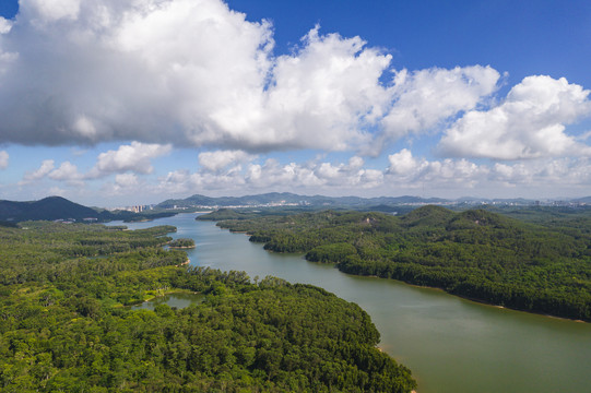 深圳铁岗水库