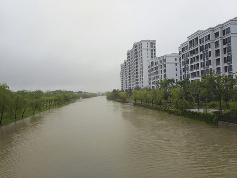 强降雨河流