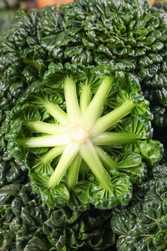 淺底上放著菊花菜