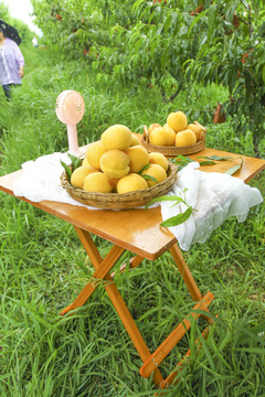 桌子上放着一篮鲜黄桃
