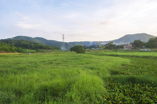 绿色的乡村大地