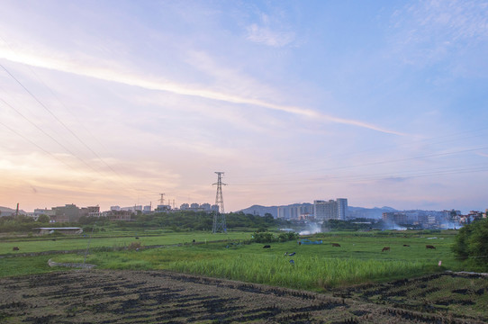 夏季傍晚的乡村土地