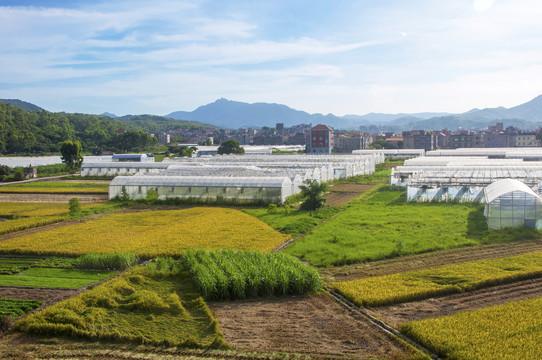 乡村农田风景