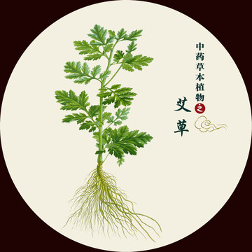 手繪艾草