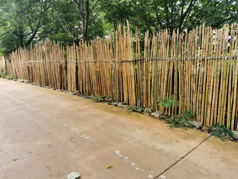 竹篱笆小菜园菜地