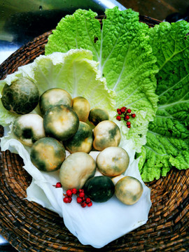 青头菌野生菌乡村美食素材