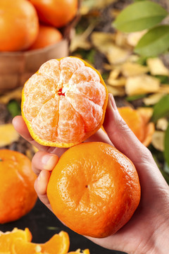 手里拿着椪柑橘