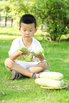 小男孩正在吃羊角蜜