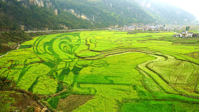 巴马长寿村