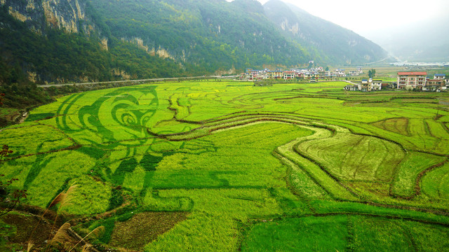 巴马长寿村