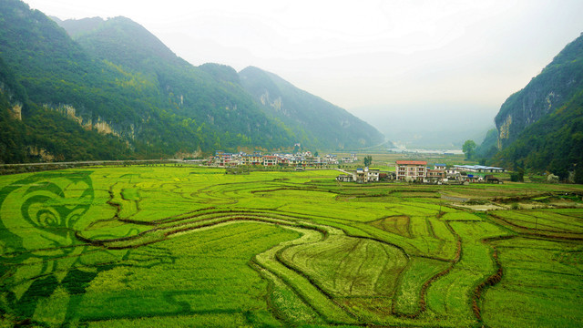 巴马长寿村