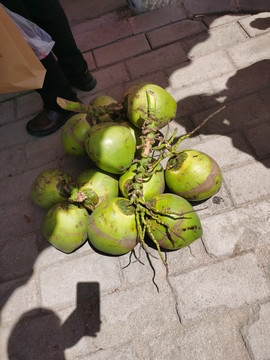 绿皮椰子
