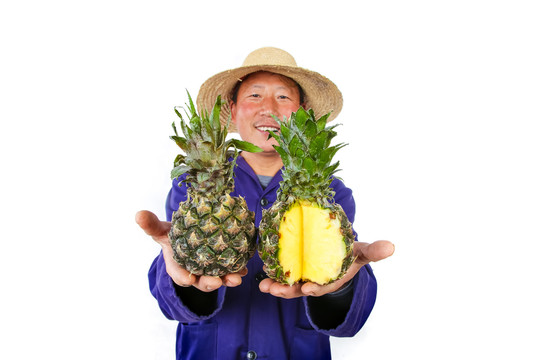 农民手里拿着泰国小菠萝