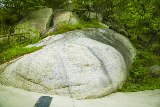 公园里的石头