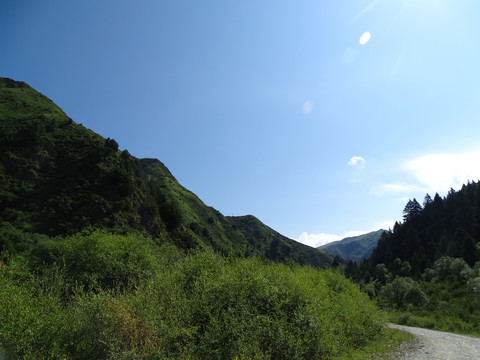 草原風景