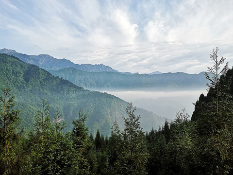 云山雾罩