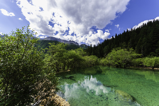 四川黄龙风光