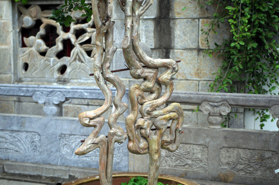 鸡鸣寺树木造型