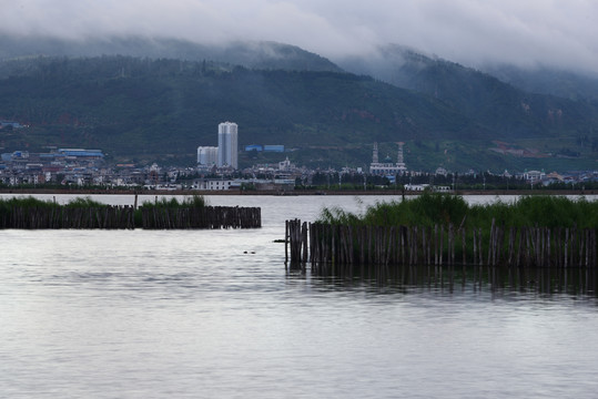 阴天湿地