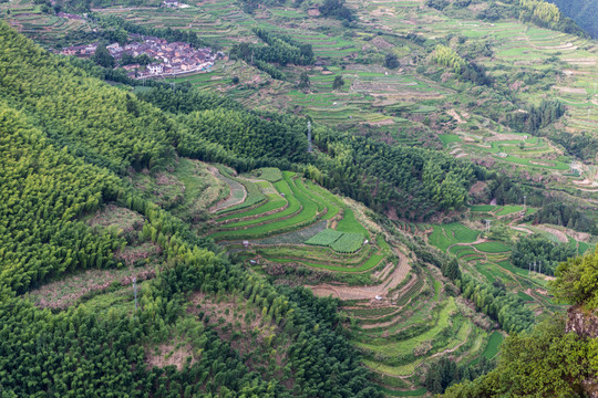 遂昌南尖岩景区