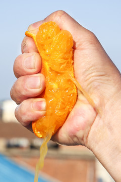 手里拿著春見柑橘果肉