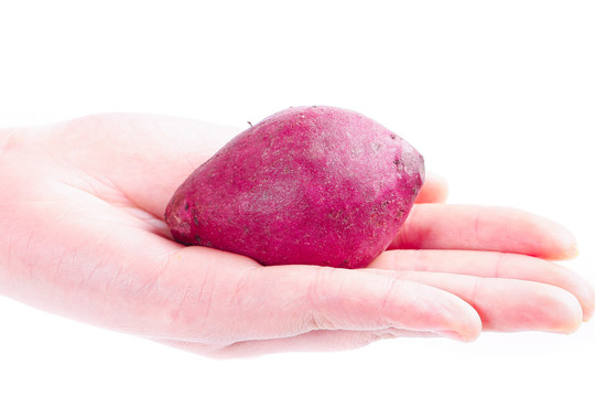 手里拿着紫薯
