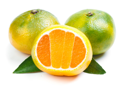 新鲜的青皮蜜橘放在白底上