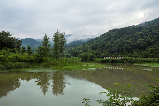 钱河湿地