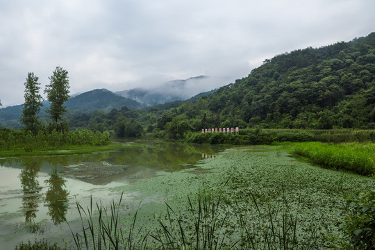 钱河湿地