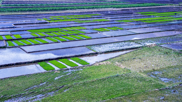 田园风景