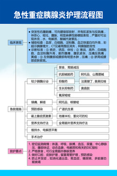 急性重症胰腺炎护理流程图